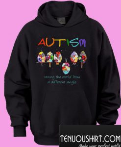 Autism seeing the world from a different angle Hoodie