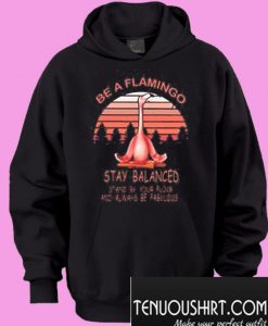 Be A Flamingo Always Be Fabulous Stay Balanced Stand By Your Flock Hoodie